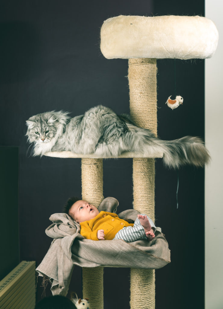 babyfotograaf poes